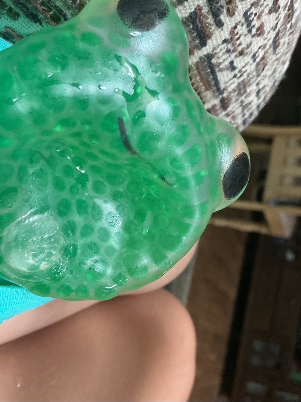 Green frog squishy